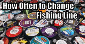 Fishing Line - How Often Should you Change it?