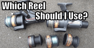 Which Fishing Reel to Choose