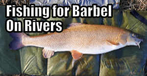 Barbel on Rivers Title