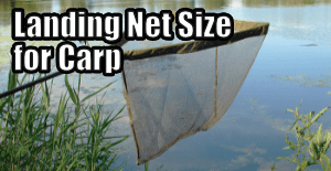 What Size Landing Net for Carp Fishing? - Coarse Fishing Tips